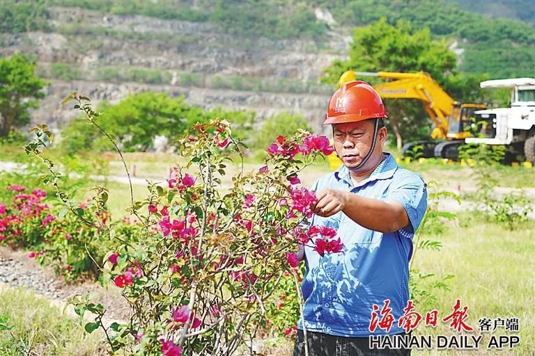 海南这座矿山，为何这么绿？4.jpg